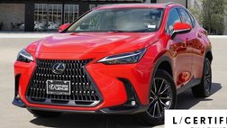 2025 Lexus NX 250 Premium