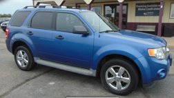 2010 Ford Escape XLT