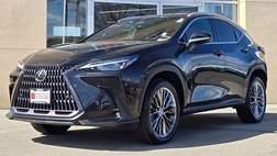 2022 Lexus NX 350 Luxury