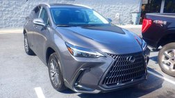 2023 Lexus NX 350 Premium