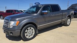 2010 Ford F-150 Platinum