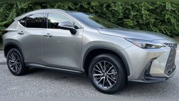 2024 Lexus NX 250 Premium