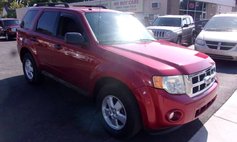 2010 Ford Escape XLT