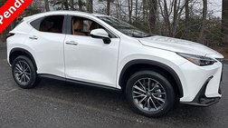 2025 Lexus NX 250 Base