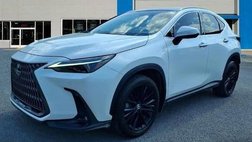 2024 Lexus NX 350 Luxury