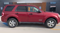 2008 Ford Escape XLT