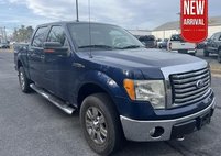 2010 Ford F-150 XLT