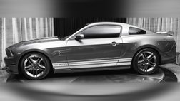 2010 Ford Shelby GT500 Base