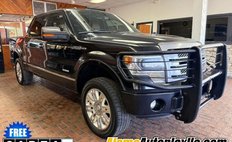 2013 Ford F-150 Platinum