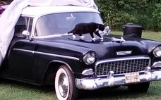 1955 Chevrolet 