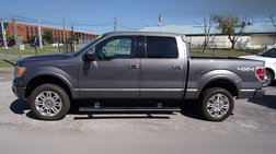 2010 Ford F-150 Platinum